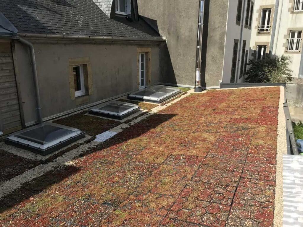 extension bois maison ancienne 3.png